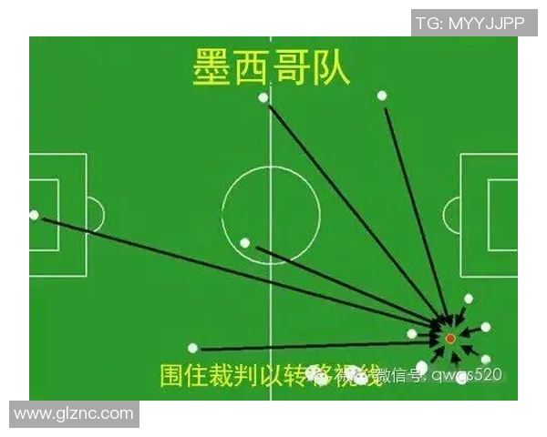 广州排球队在精英赛中的速度优势与战术分析