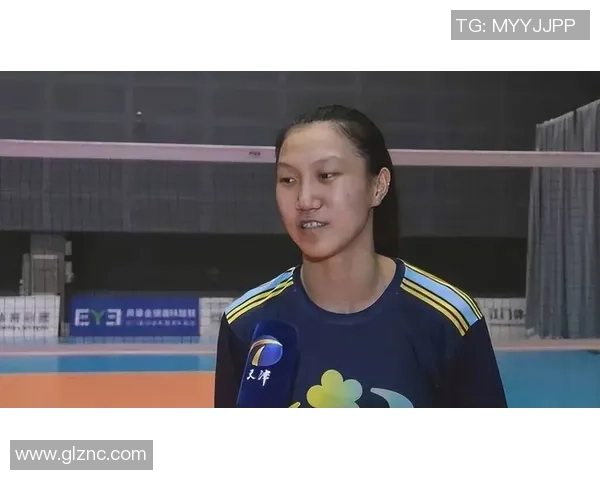 武汉排球队精英赛个人能力分析与表现评估探讨